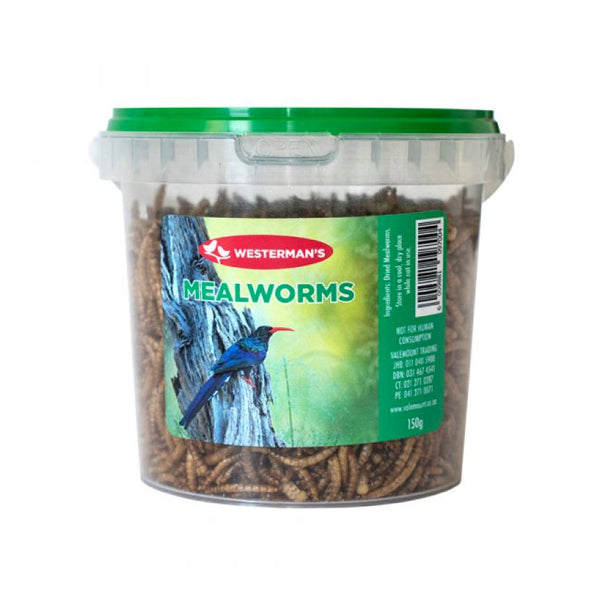 Westerman's Mealworms Tub