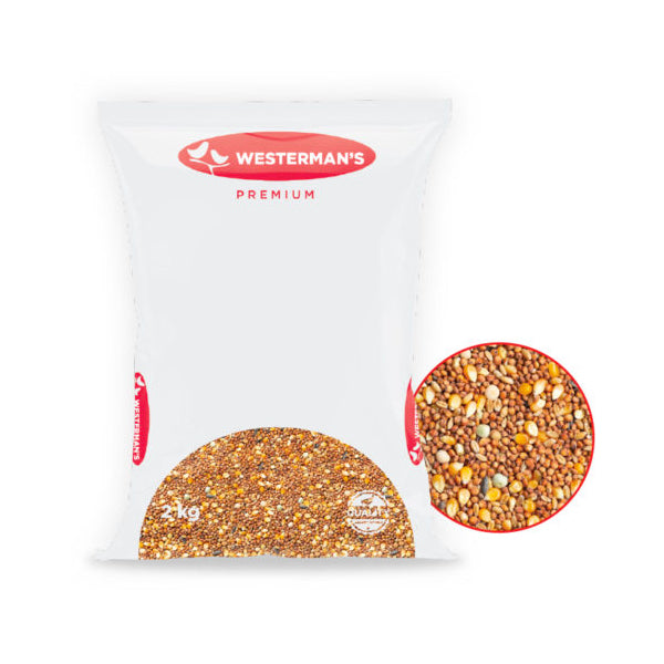 Westerman's Pigeon Roller Fancy Mix