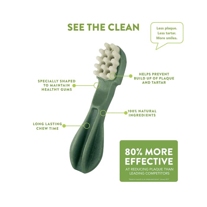 Whimzees Toothbrush Dental Dog Treats - Large