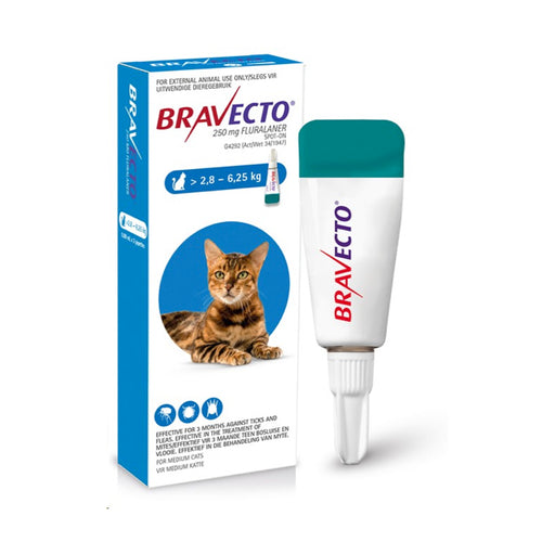 Bravecto Spot On for Medium Cats