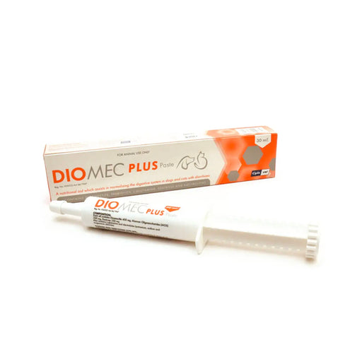 Diomec Plus Paste