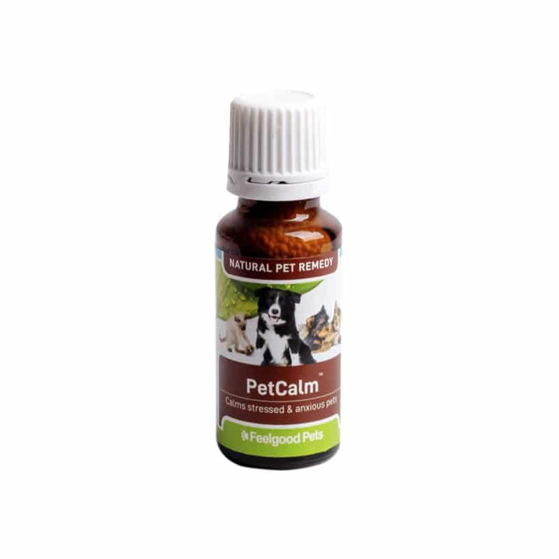 Stress &amp; Anxiety