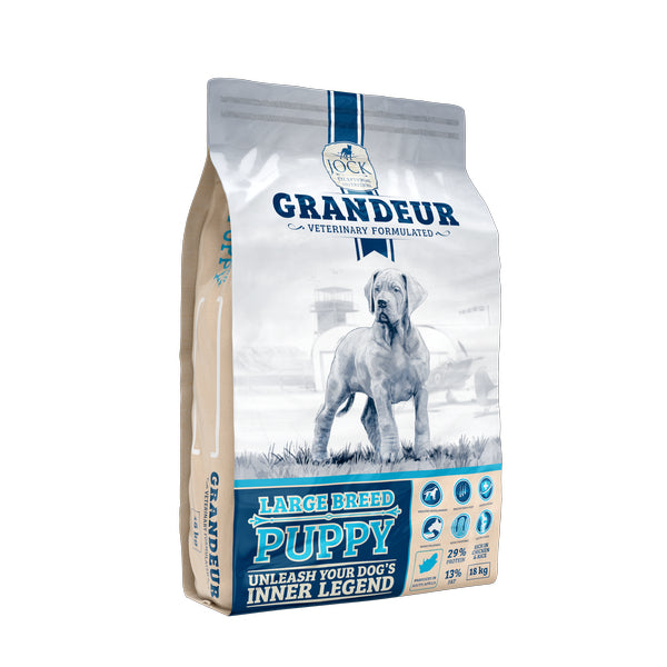 Jock Grandeur Puppy