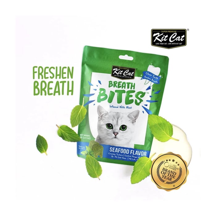 Kit Cat BreathBites Salmon 60G