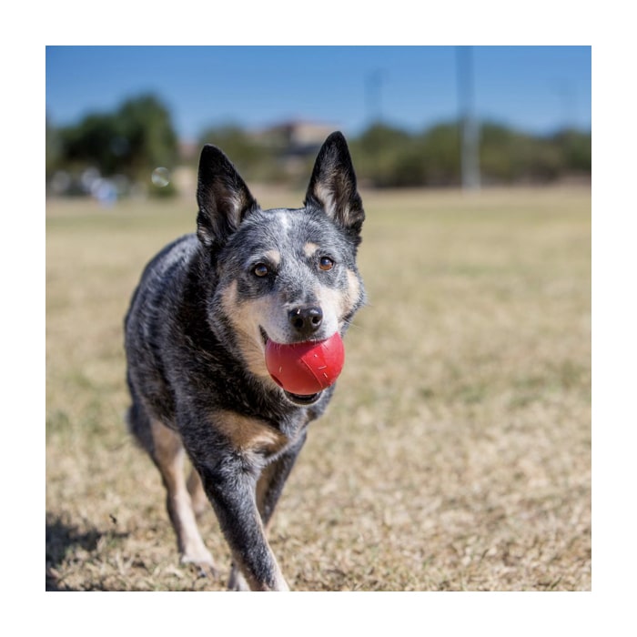 Kong® Ball with Hole Dog Toy