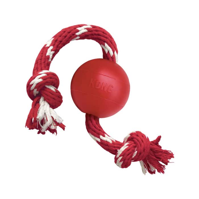 Kong® Ball with Rope Dog Toy