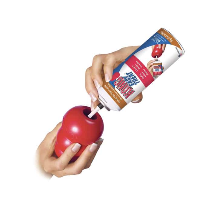 Kong® Classic Dog Toy