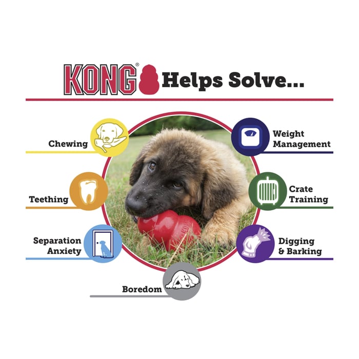 Kong® Classic Dog Toy