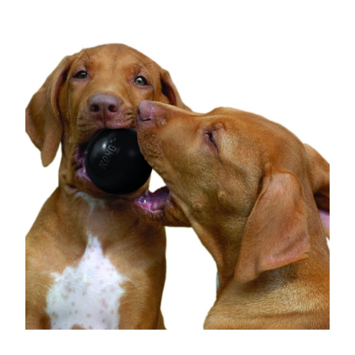 Kong® Extreme Ball Dog Toy