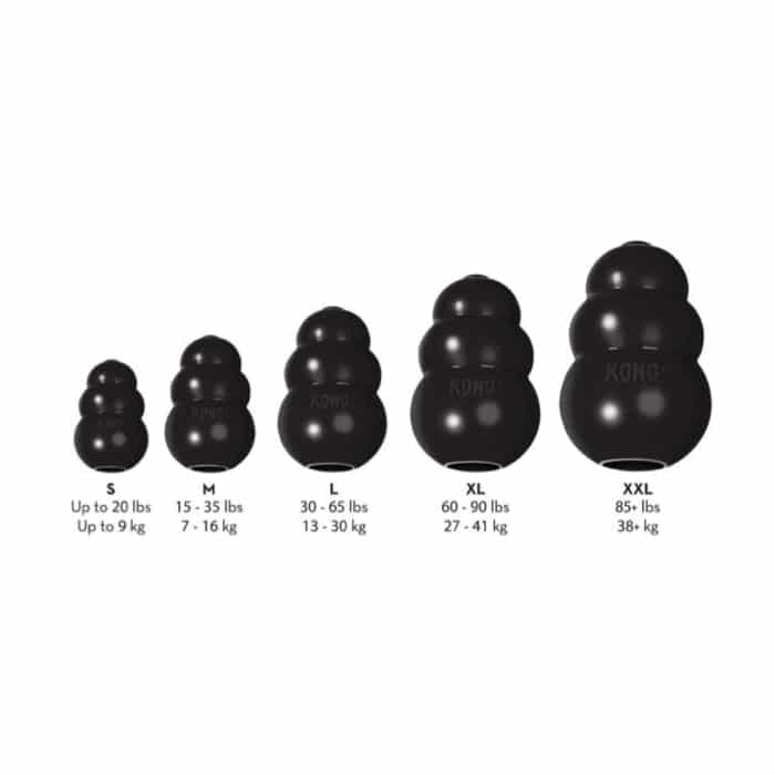 Kong® Extreme Dog Toy