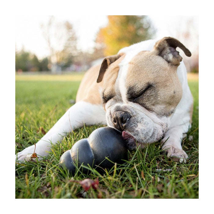 Kong® Extreme Dog Toy