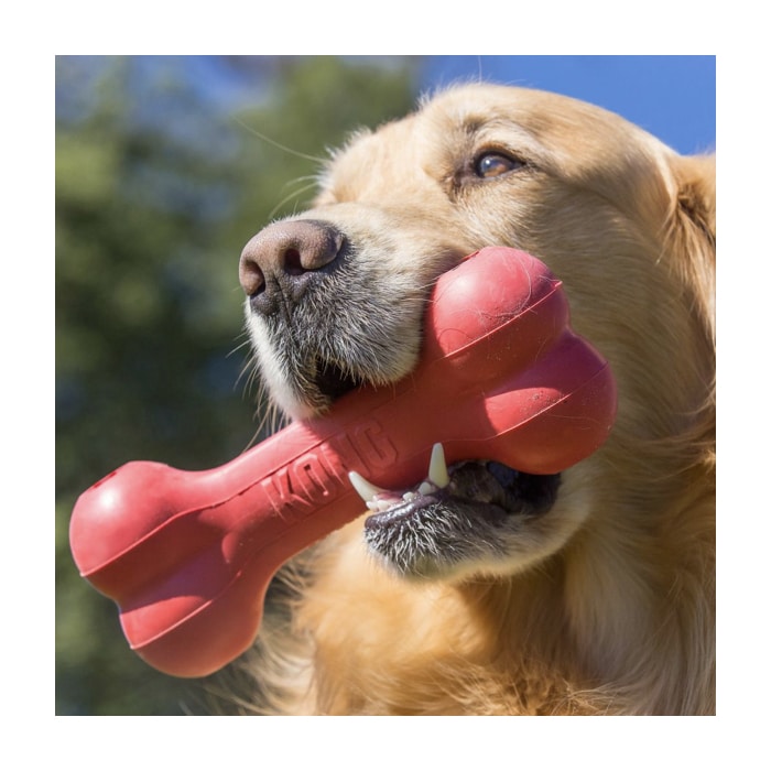 Kong® Goodie Bone Dog Toy