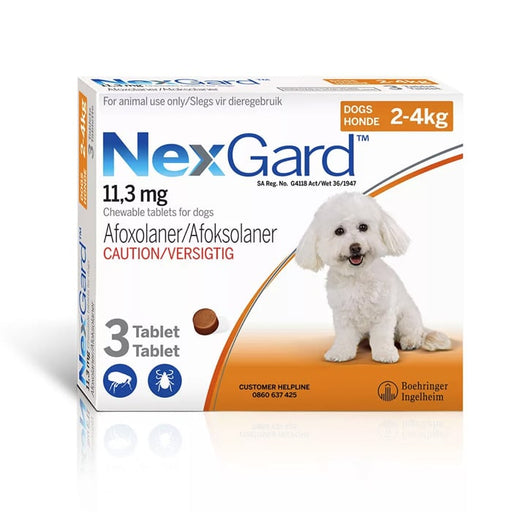 NexGard Tick and Flea Chew Toy and Mini Dog 3 Chew