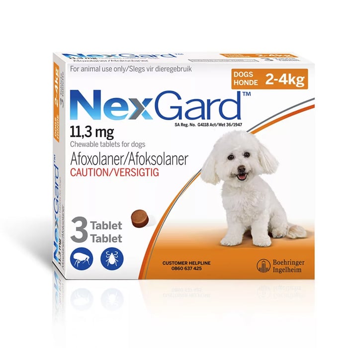 NexGard Tick and Flea Chew Toy and Mini Dog 3 Chew