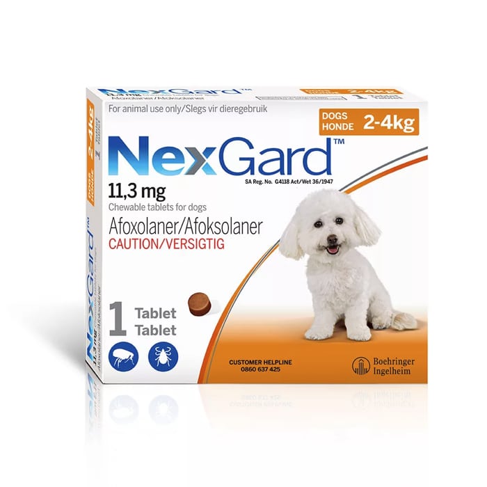 NexGard Tick and Flea Chew Toy and Mini Dog 1 Chew