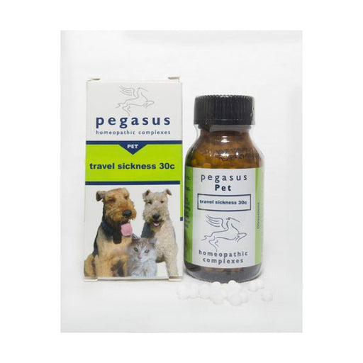 Pegasus Travel Sickness