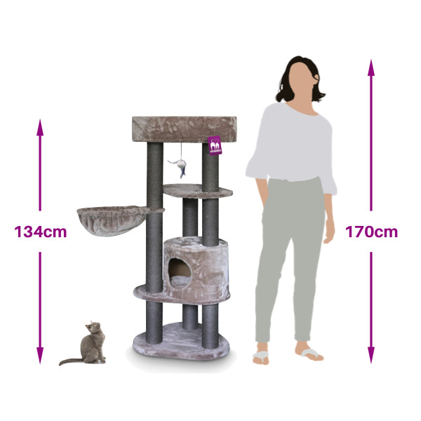 Pet Rebels Cat Tower Charlotte 134
