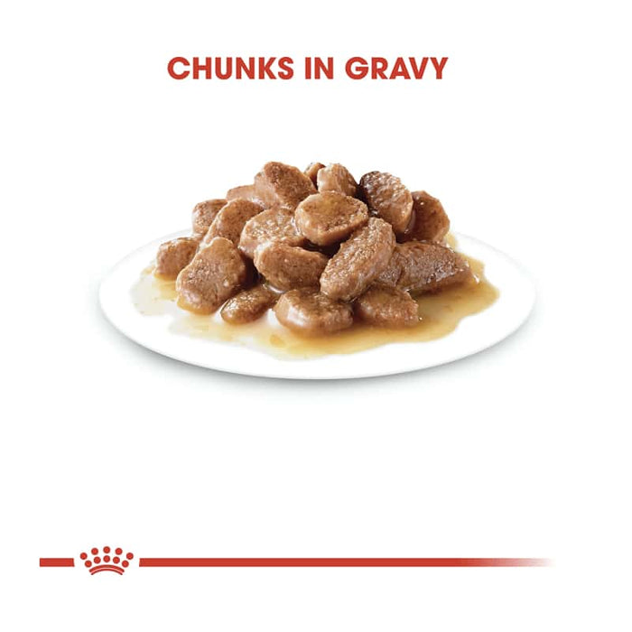ROYAL CANIN Adult Instinctive in Gravy Wet Cat Food (12 x 85g)