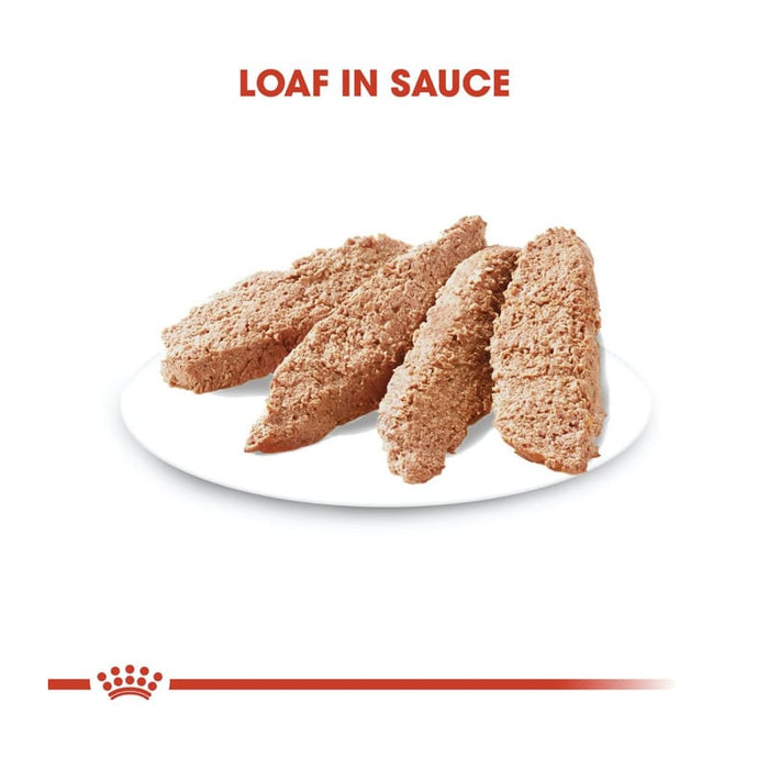 ROYAL CANIN All Breed Exigent Wet Dog Food Loaf (12 x 85g)