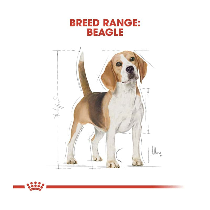 Royal Canin Beagle Adult Dog Food Dry