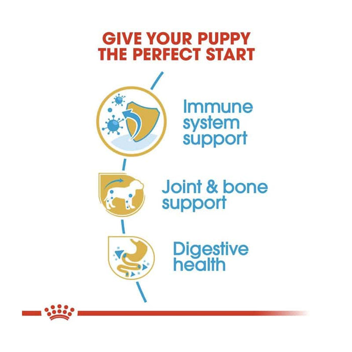 Royal Canin Dachshund Puppy Food Dry