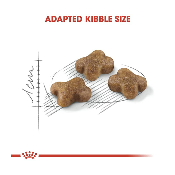 ROYAL CANIN Dry Kitten Food