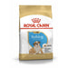 Royal Canin English Bulldog Puppy Food Dry