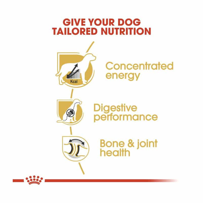Royal Canin Great Dane Adult Dog Food Dry
