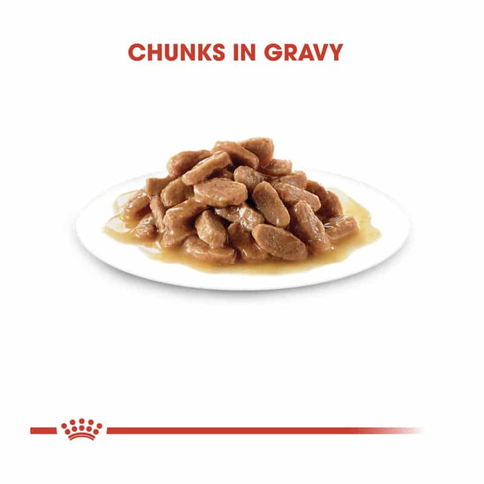 ROYAL CANIN Kitten Instinctive in Gravy Wet Cat Food (12 x 85g)