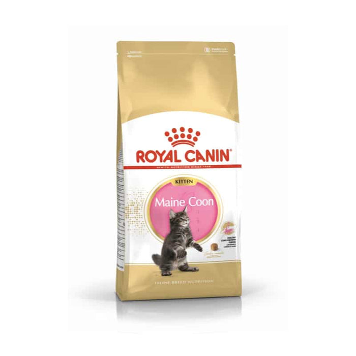 ROYAL CANIN Maine Coon Dry Kitten Food