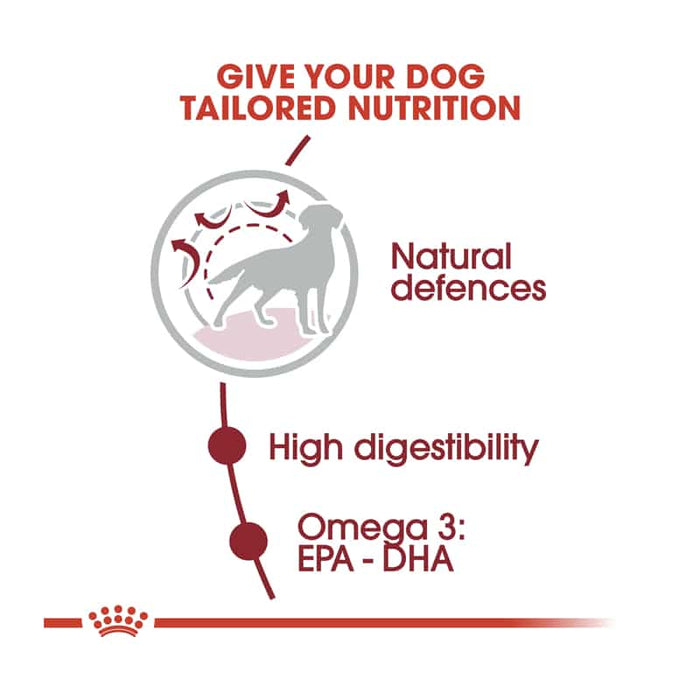 Royal Canin Medium Adult Dog Food Dry