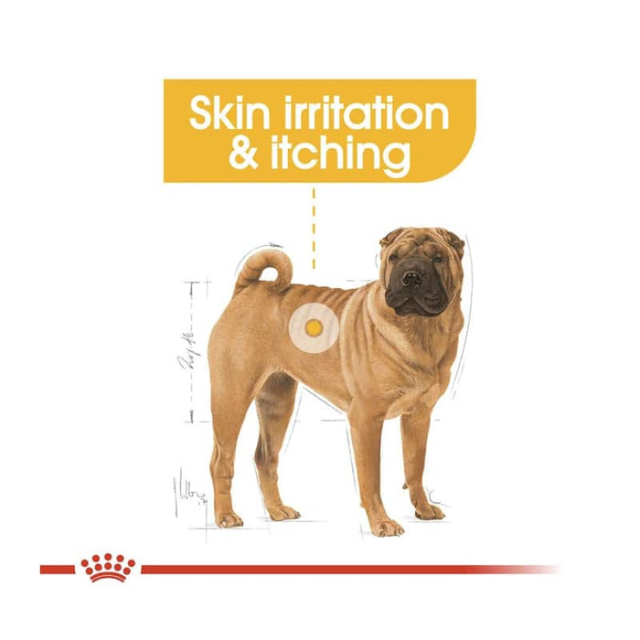 Royal Canin Medium Dermacomfort Dog Food Dry