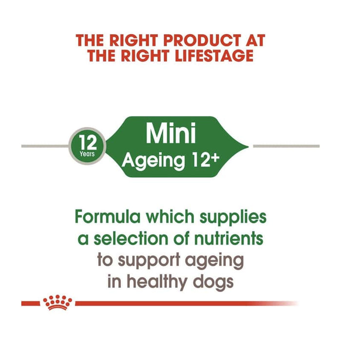 ROYAL CANIN Mini Adult Ageing 12+ Wet Dog Food (12 x 85g)