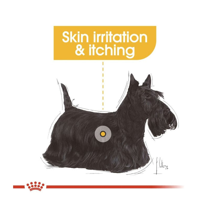 Royal Canin Mini Dermacomfort Dog Food Dry