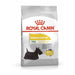Royal Canin Mini Dermacomfort Dog Food Dry