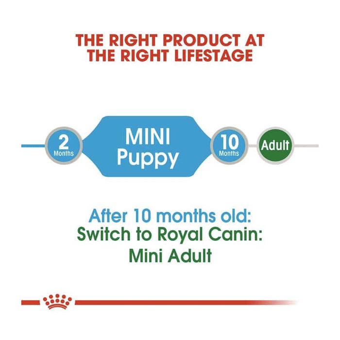 ROYAL CANIN Mini Wet Puppy Food (12 x 85g)