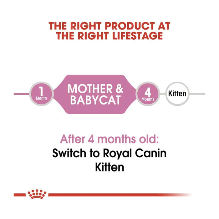 ROYAL CANIN Mother & Babycat Dry Cat & Kitten Food