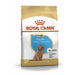 Royal Canin Poodle Puppy Food Dry