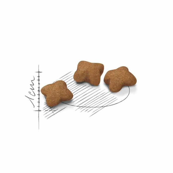 ROYAL CANIN Sterilised Dry Kitten Food