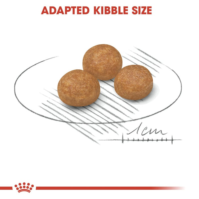 Royal Canin X-Small Adult Dog Food Dry
