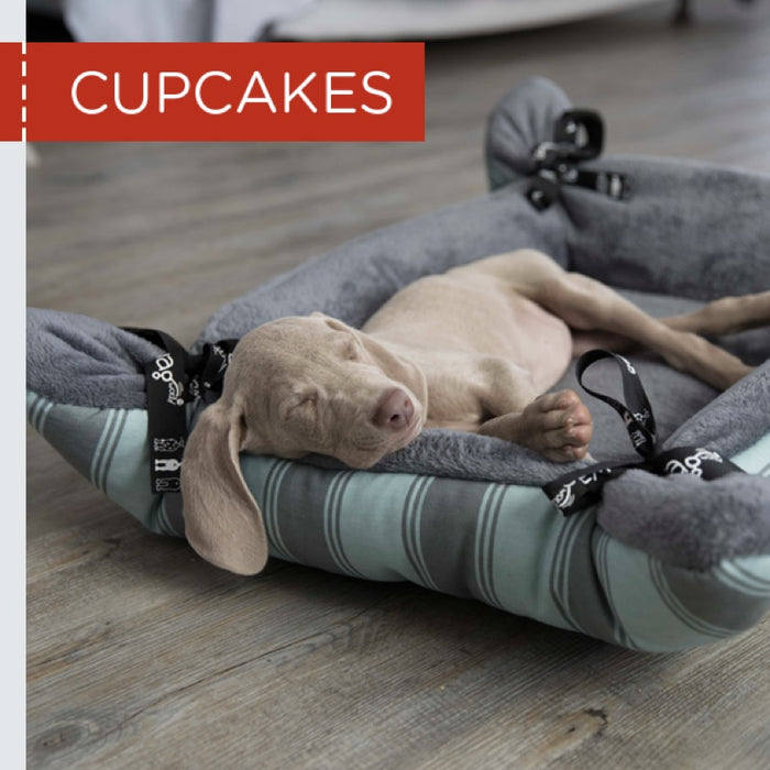 Wagworld Cupcakes