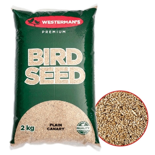 Westerman's Canary Seed Plain
