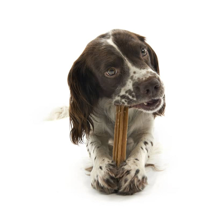 Whimzees Stix Dental Treat for Dogs - Large